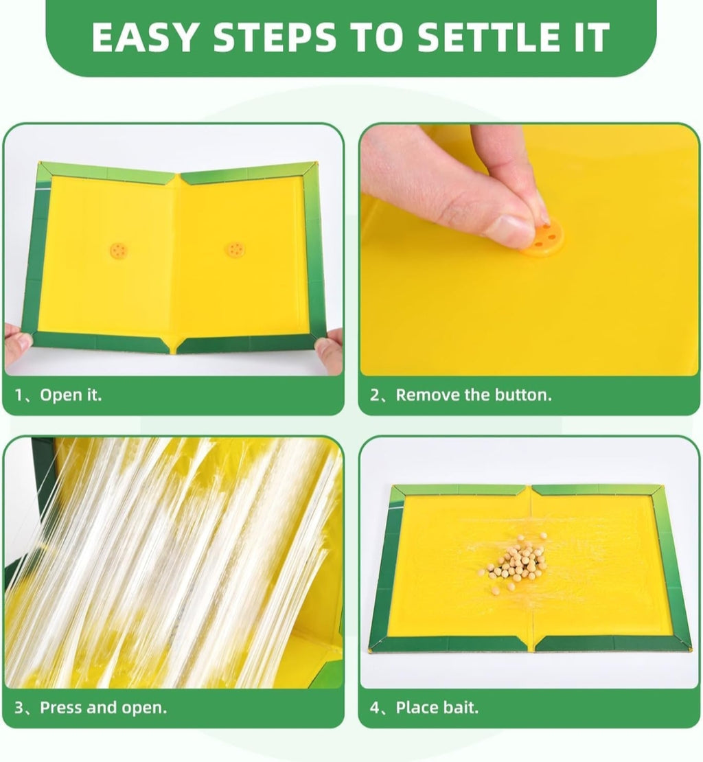 Mouse Glue Sheet Pade Pack of 4